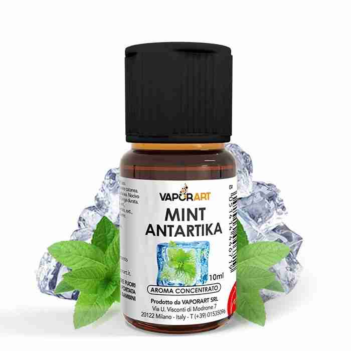 Mint Antartika – Aroma Concentrato 10ml – Vaporart